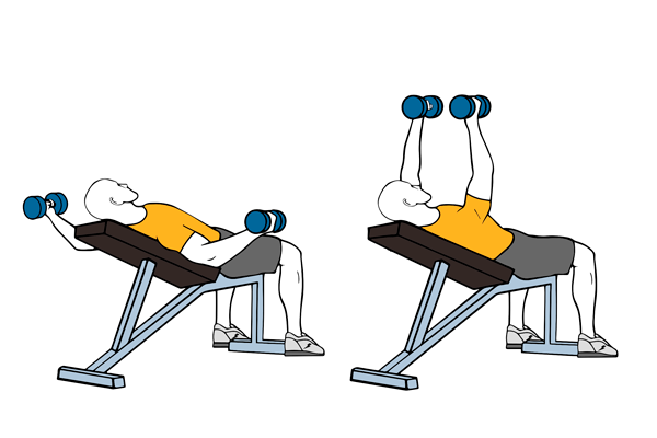 Incline bench dumbbell flyes